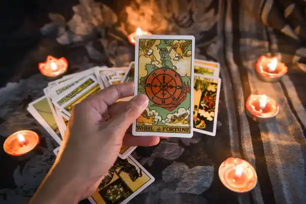 tarot cards Arlington Heights